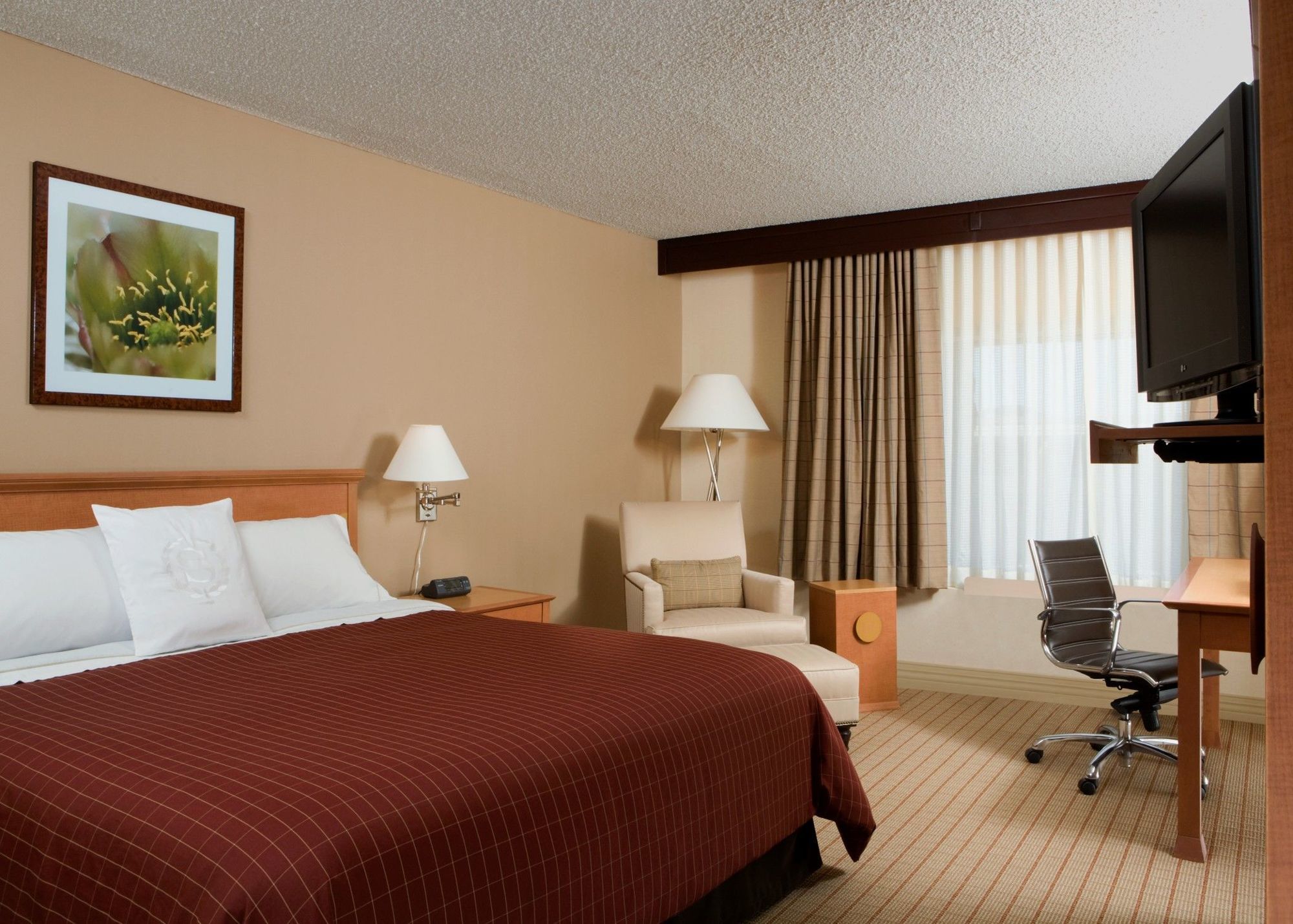 Wyndham Phoenix Airport - Tempe Chambre photo